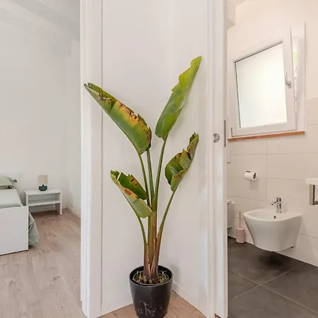 Casa Chiara Elba Island Naregno 아파트